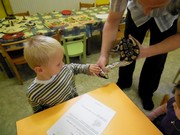 Obojživelníci a plazi